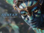 Avatar and the virtual world