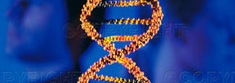 Genetic editing advances: Hello prime editing 