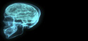 Wireless brain computer interface