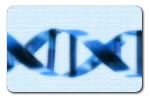 Towards a global policy? The UNESCO Universal Declaration on Bioethics and Human Rights